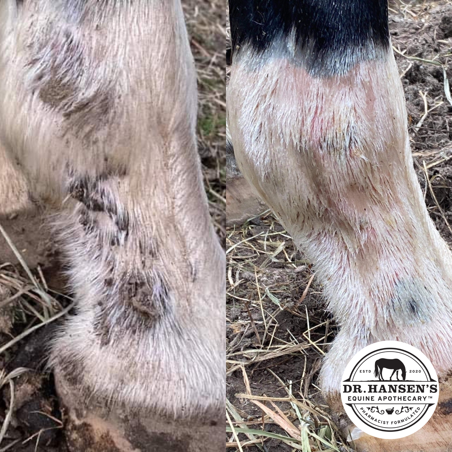 Dr. Hansen's Equine Apothecary Formula 44 Ointment