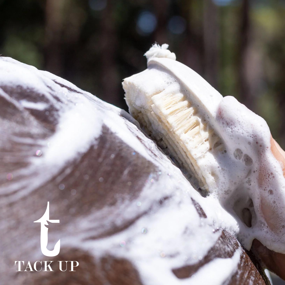 Hairy Pony Wash Bay Brush