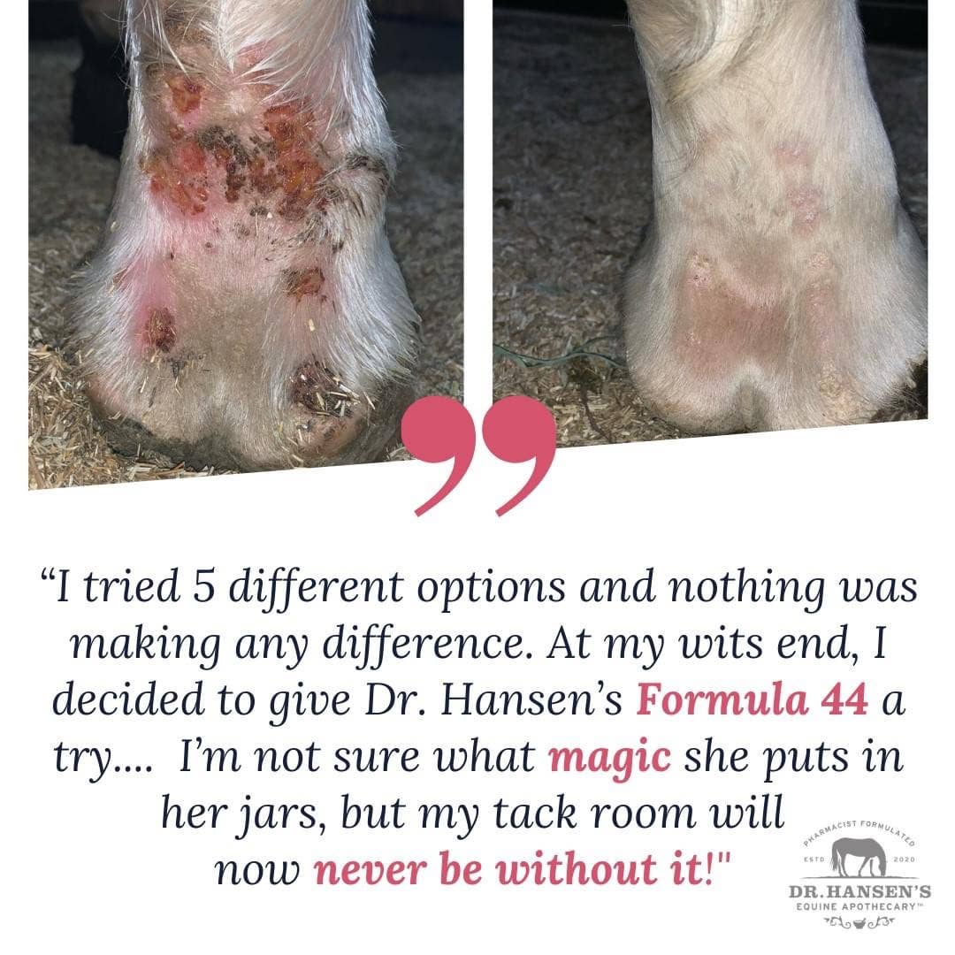 Dr. Hansen's Equine Apothecary Formula 44 Ointment