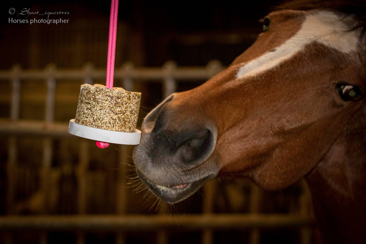Hanging Treat - Happy Wild Respiratory