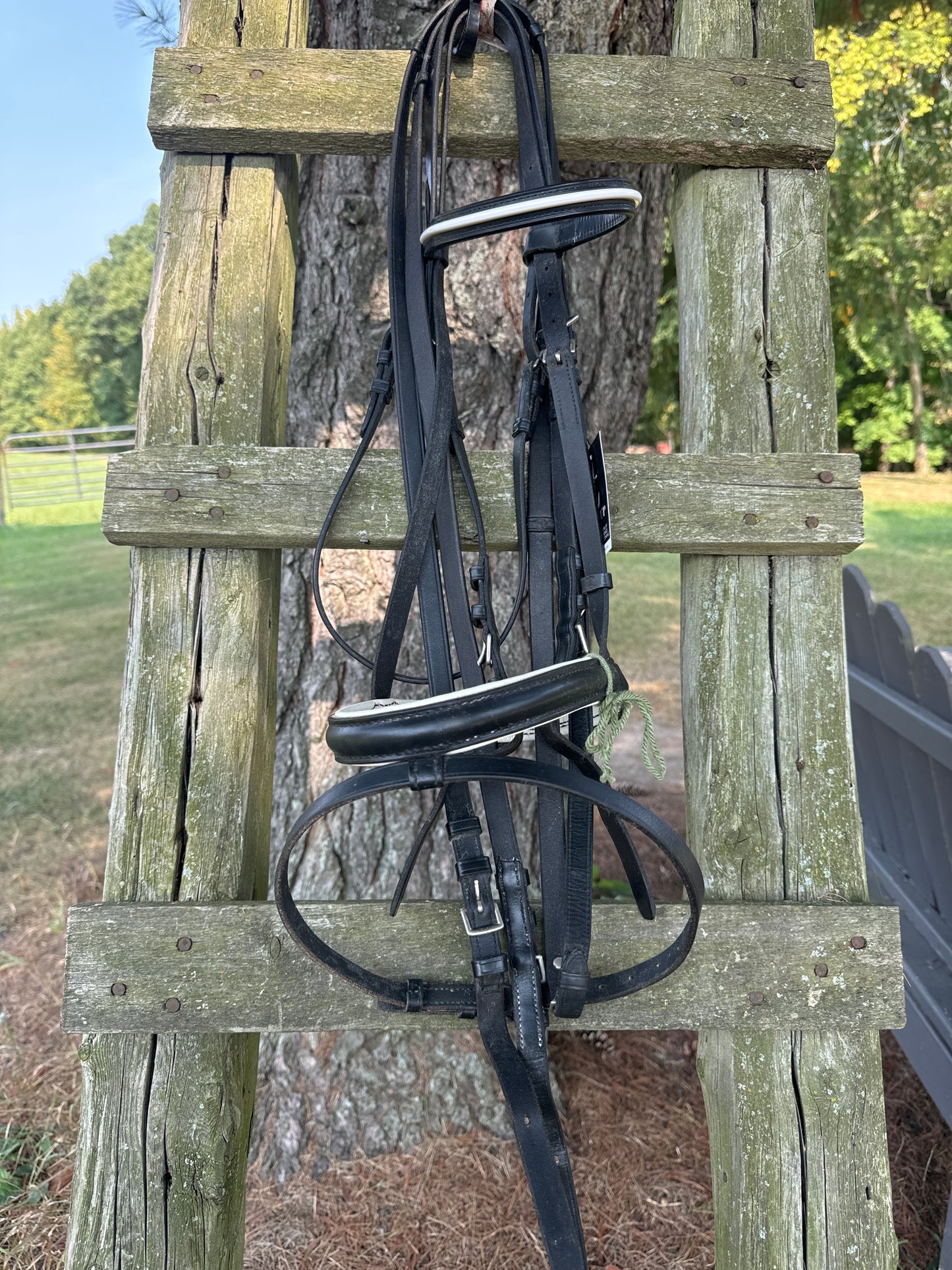 Bridle - Dressage Schumacher