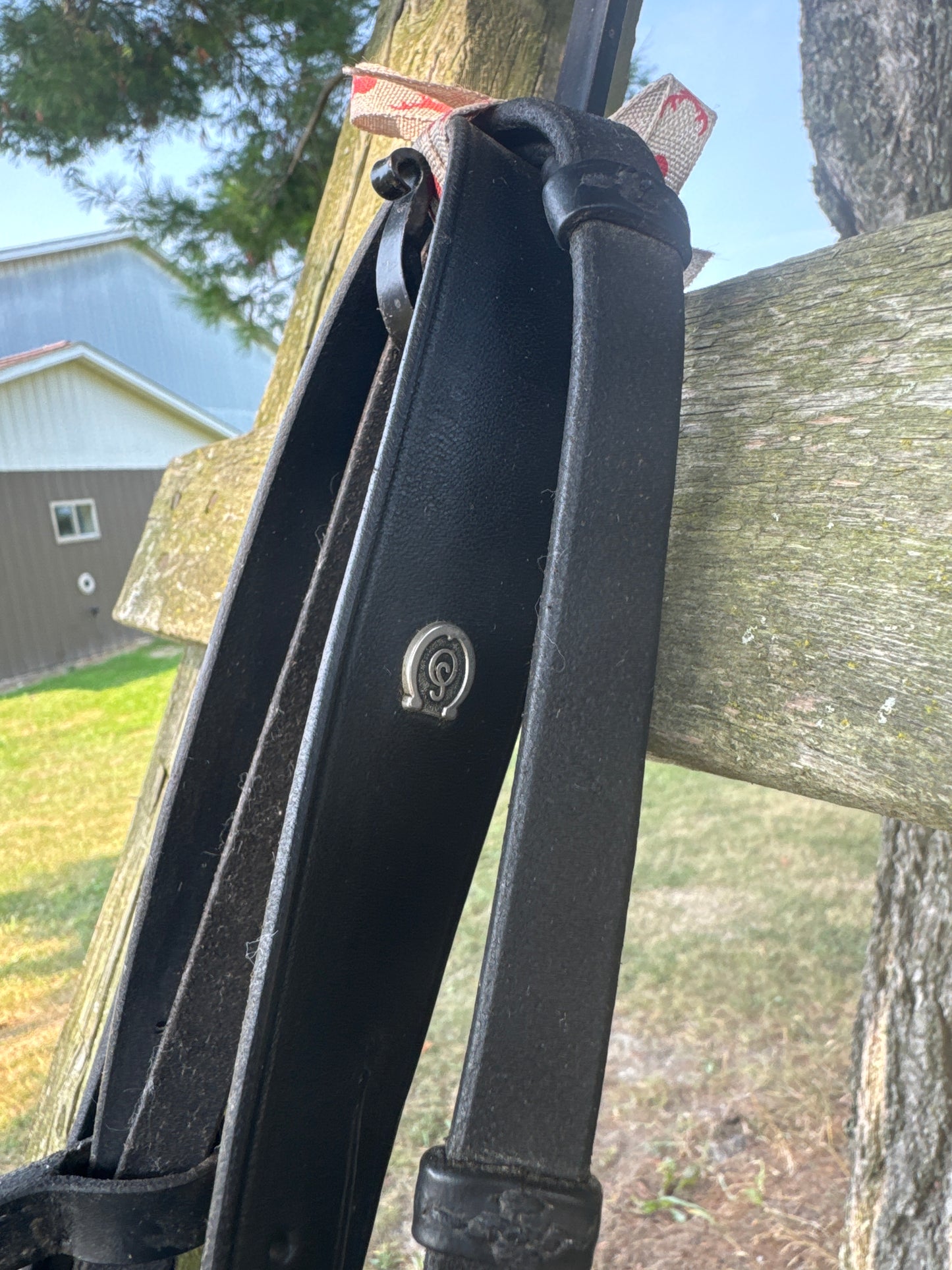 Bridle - Dressage Schumacher