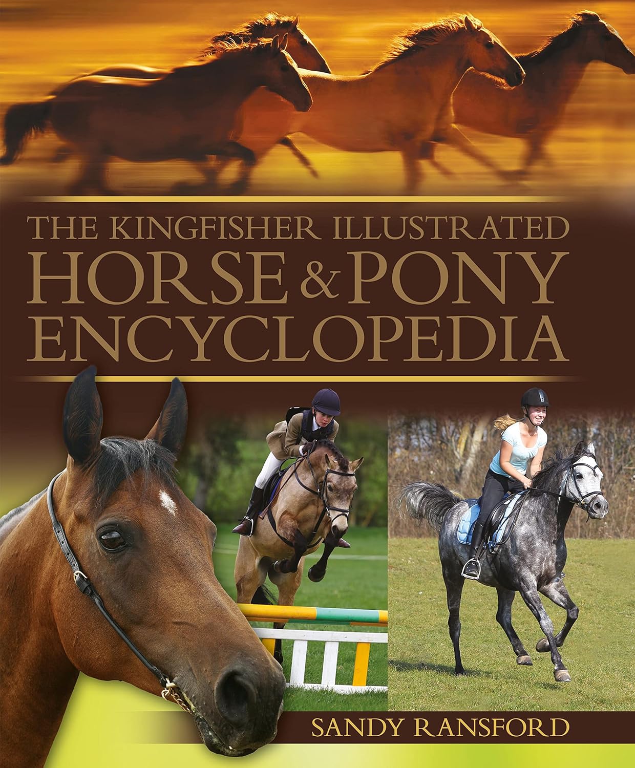 The Kingfisher Illustrated Horse and Pony Encyclopedia Hardcover