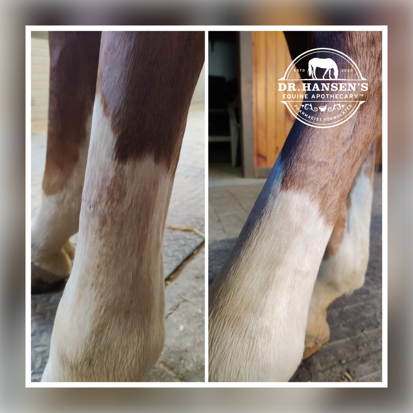 Dr. Hansen's Equine Apothecary Formula 44 Ointment
