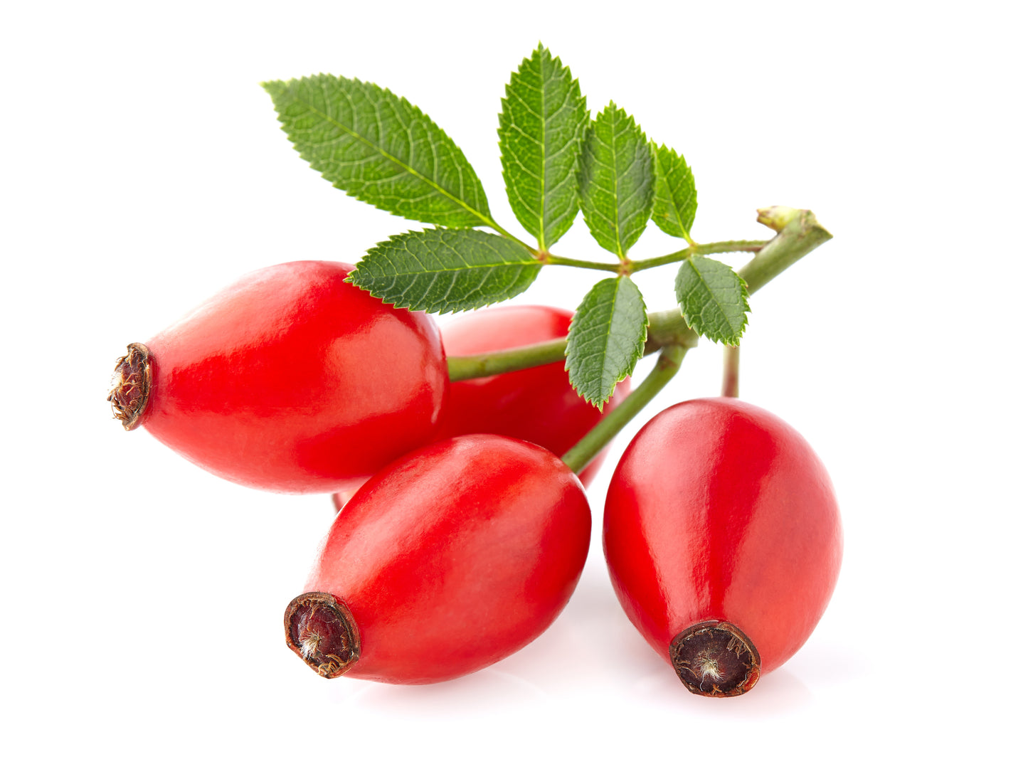 Simply Rose Hips Treats