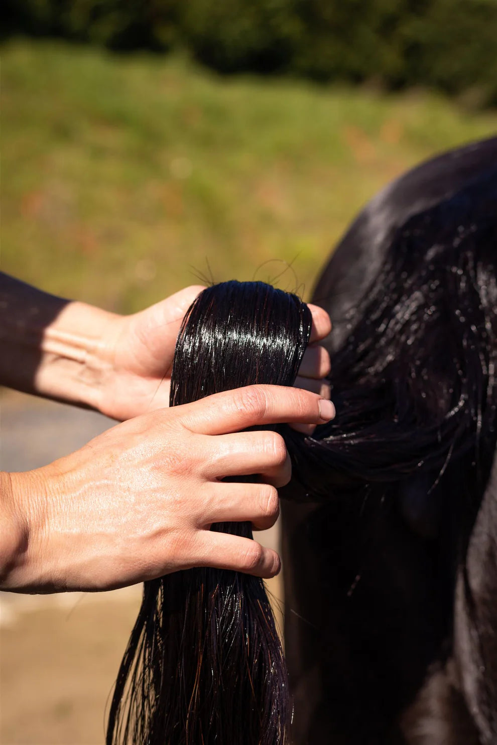 Hairy Pony Hair Repair - Raspberry & Pomegranate