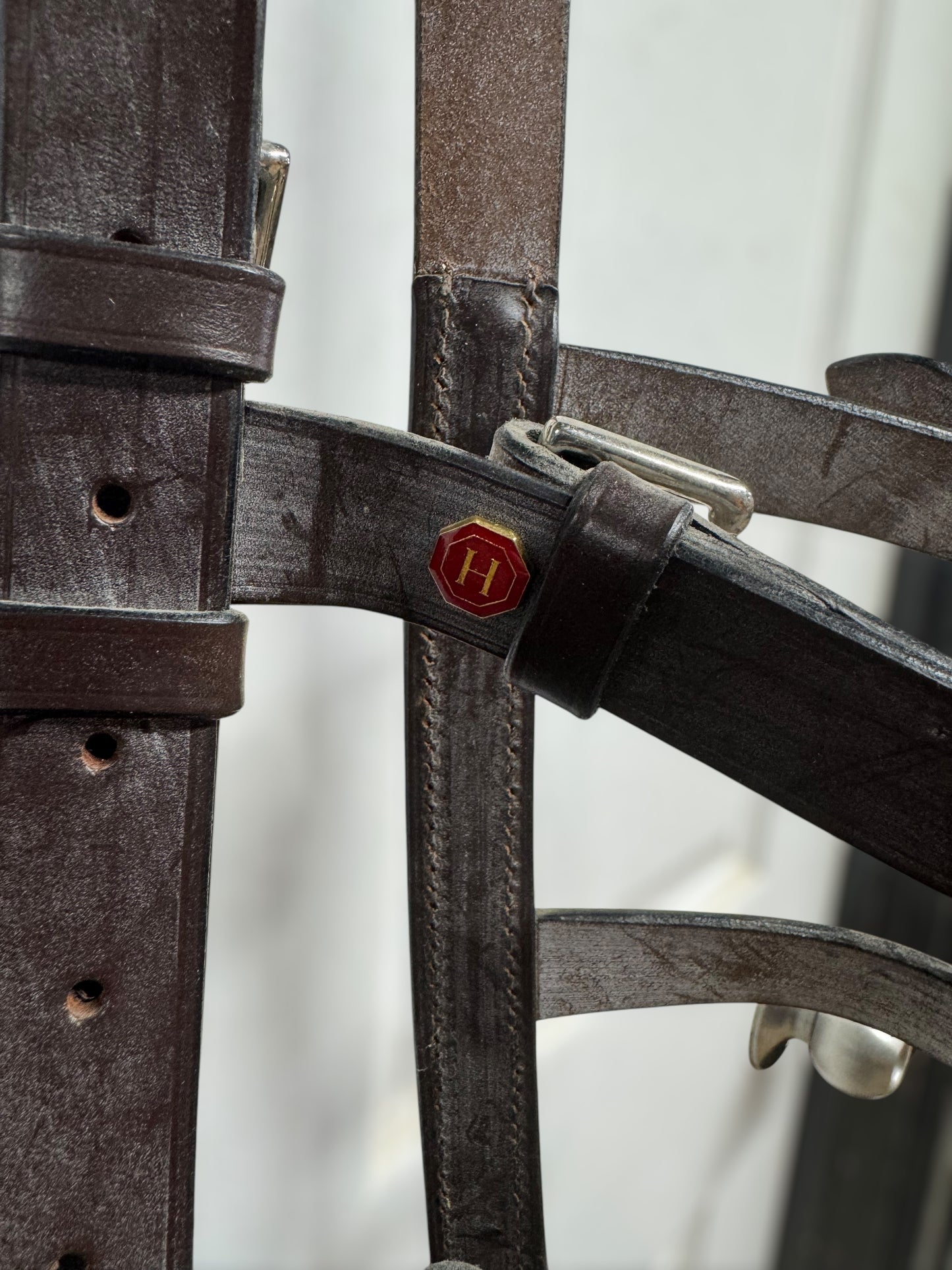 NEW Hastilow Lunging Cavesson