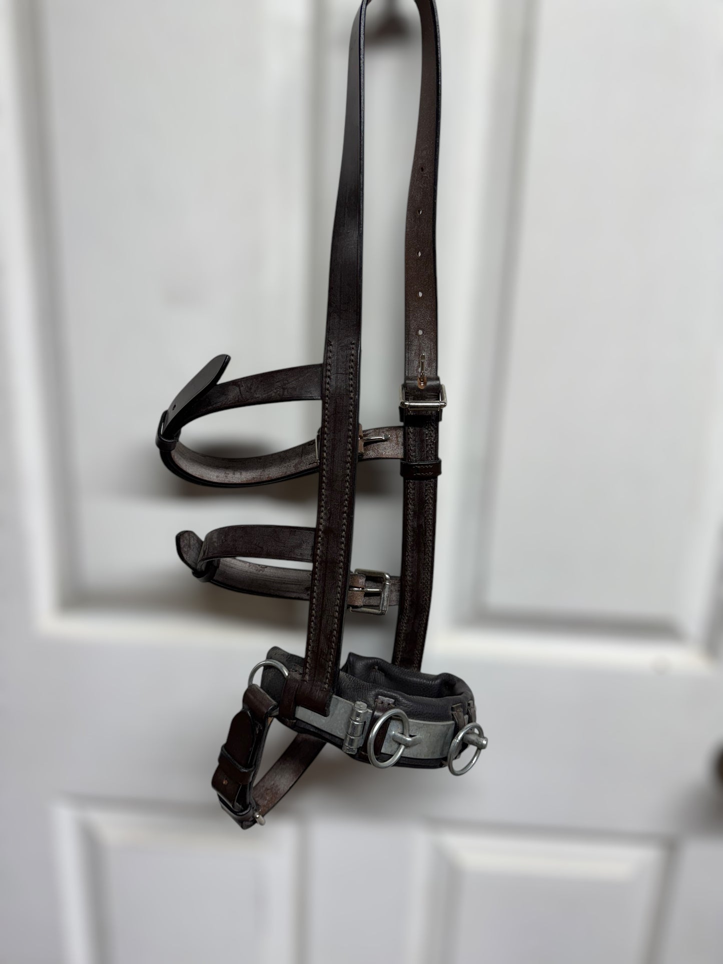 NEW Hastilow Lunging Cavesson