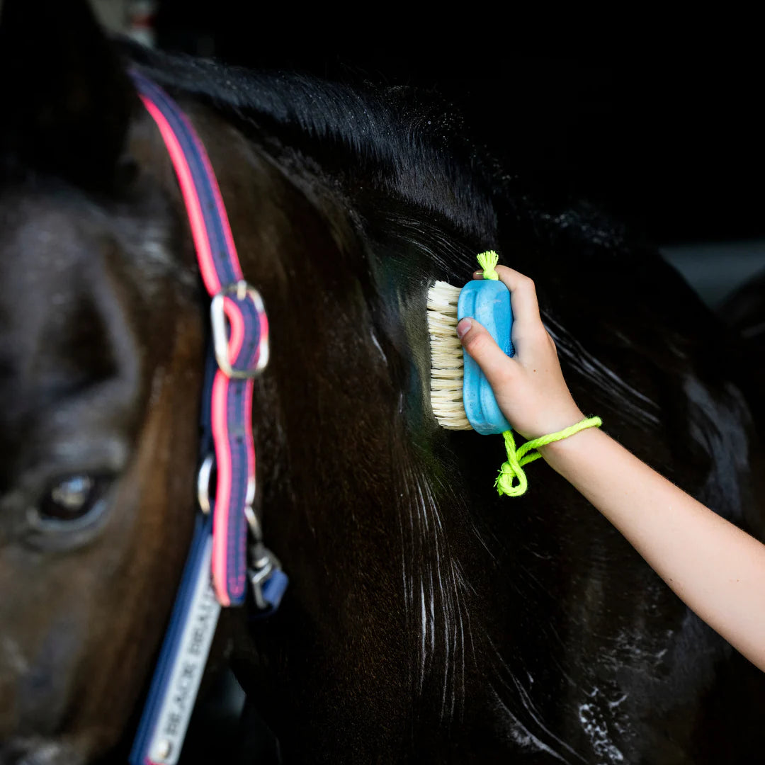 Kids Hairy Pony Horse Wash Bay Kit