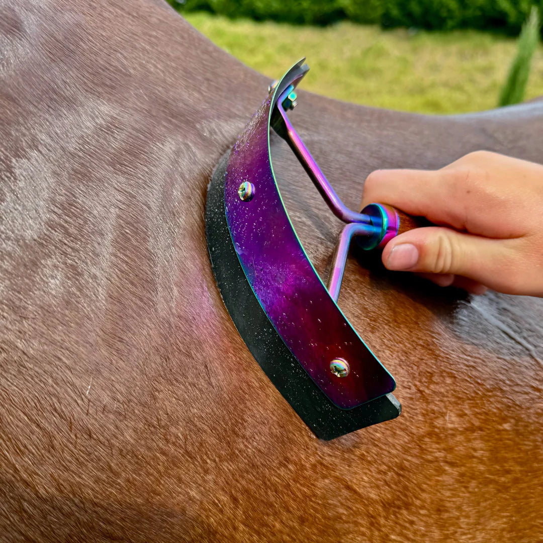 Kids Hairy Pony Horse Wash Bay Kit