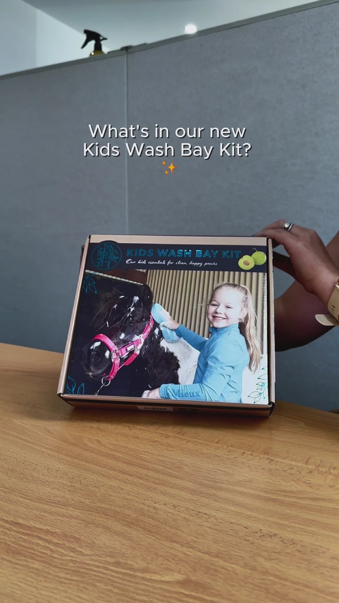Kids Hairy Pony Horse Wash Bay Kit