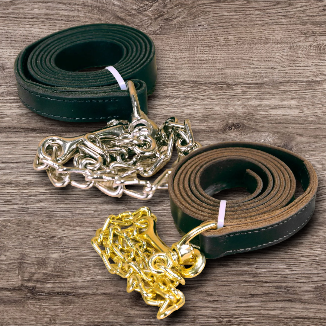 Leather Lead + Chain in Brown/Brass