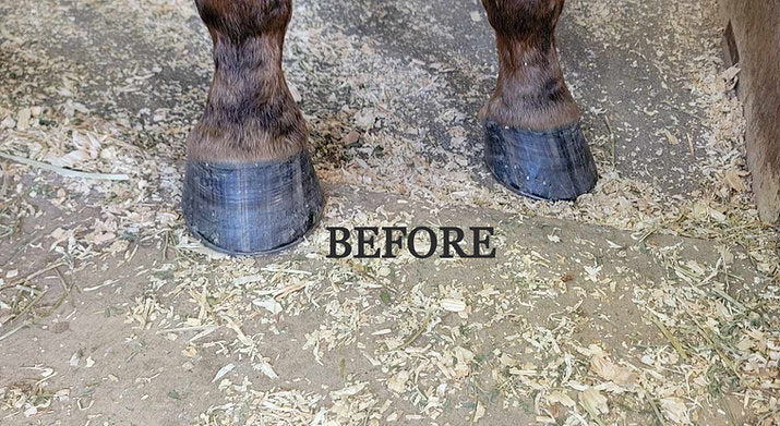 OneTouch Spray Hoof Oil