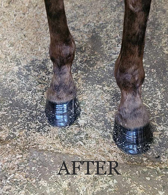 OneTouch Spray Hoof Oil