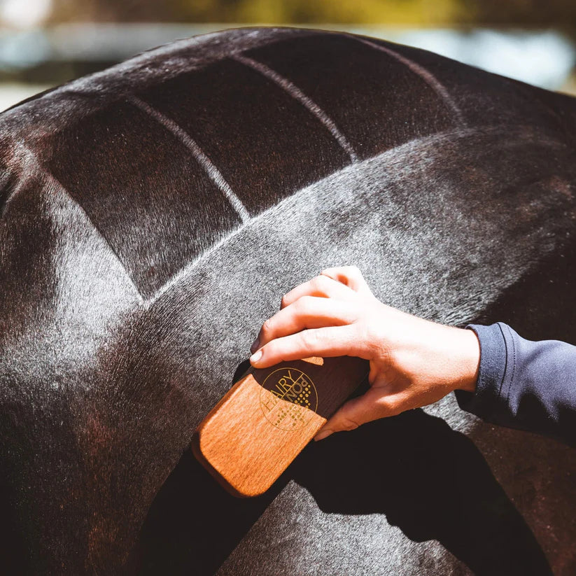 Hairy Pony Quarter Mark Horse Spray