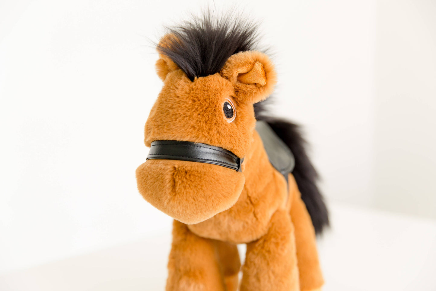 Racehorse by Piccoli - The G.O.A.T. Billy