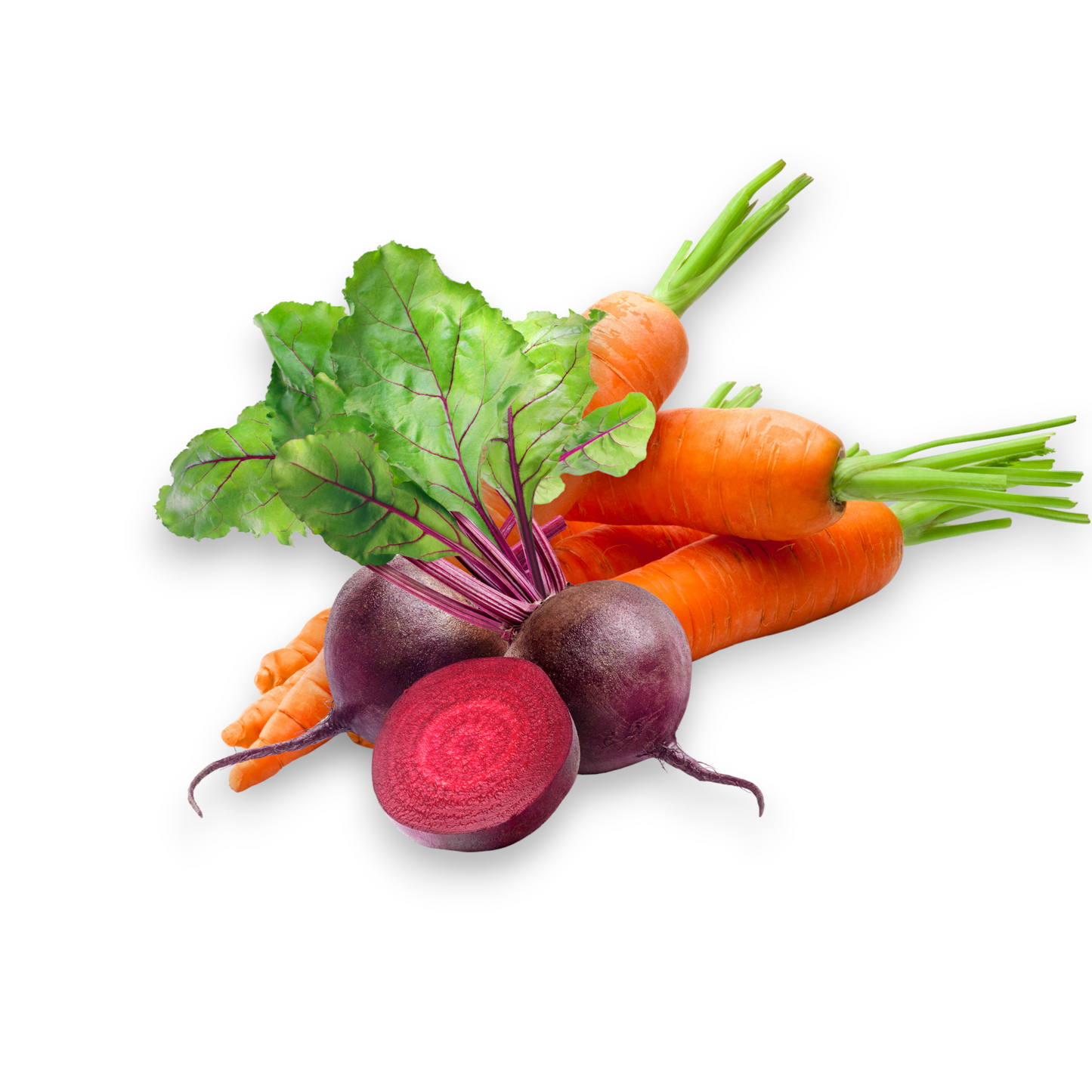 Simply Beet + Carrot Treats