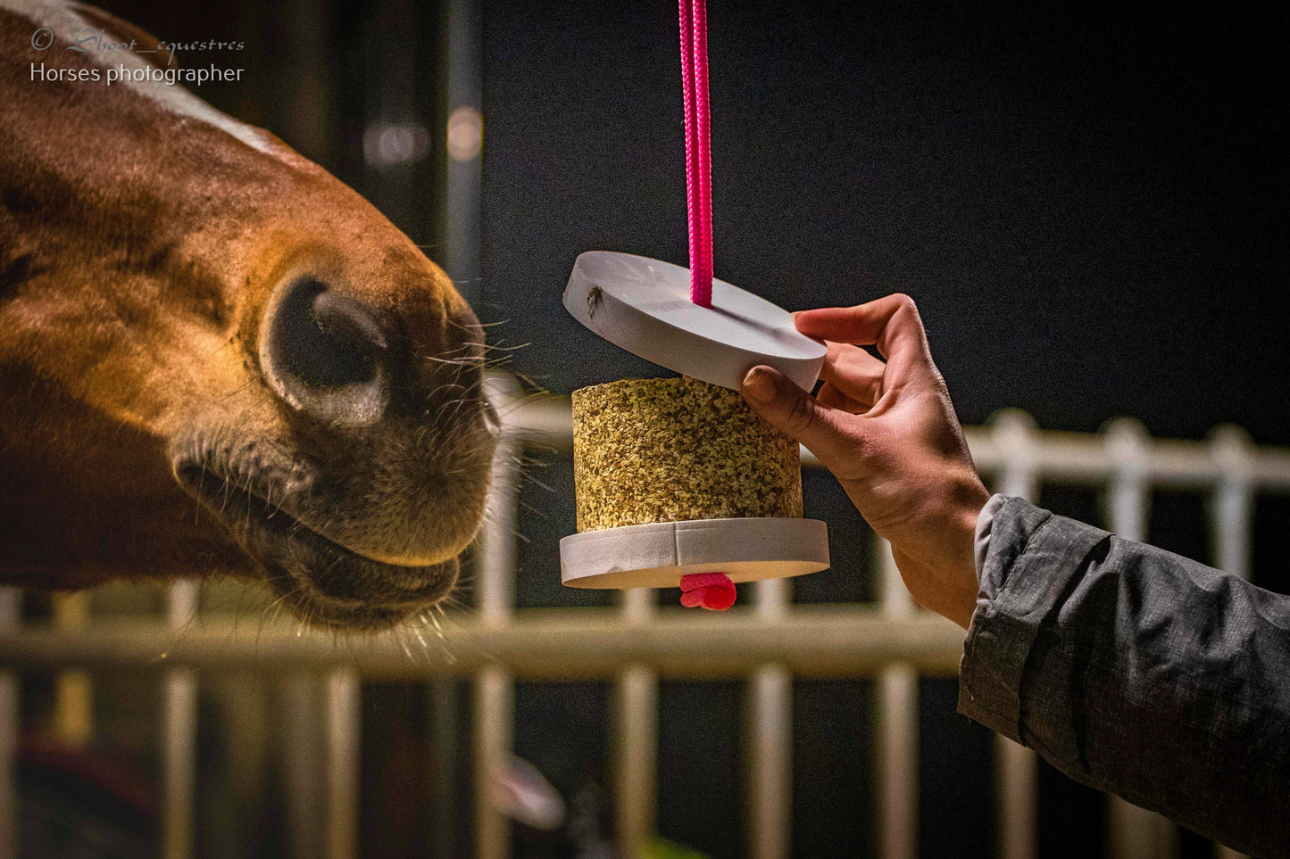 Hanging Treat - Happy Wild Detox