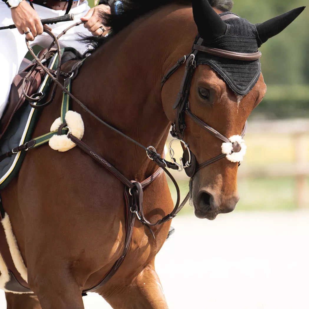 NEW Devoucoux Kolibri 5-point Breastplate
