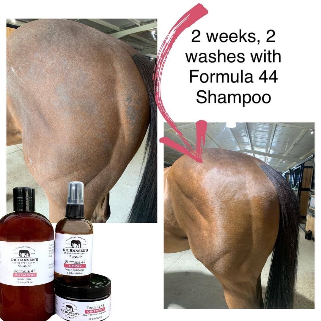 Dr. Hansen's Equine Apothecary Formula 44 Shampoo