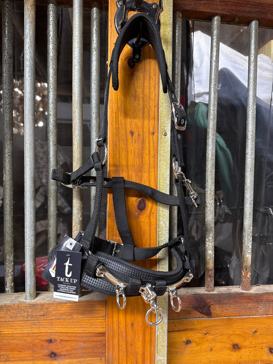 Cavesson Lunging Halter
