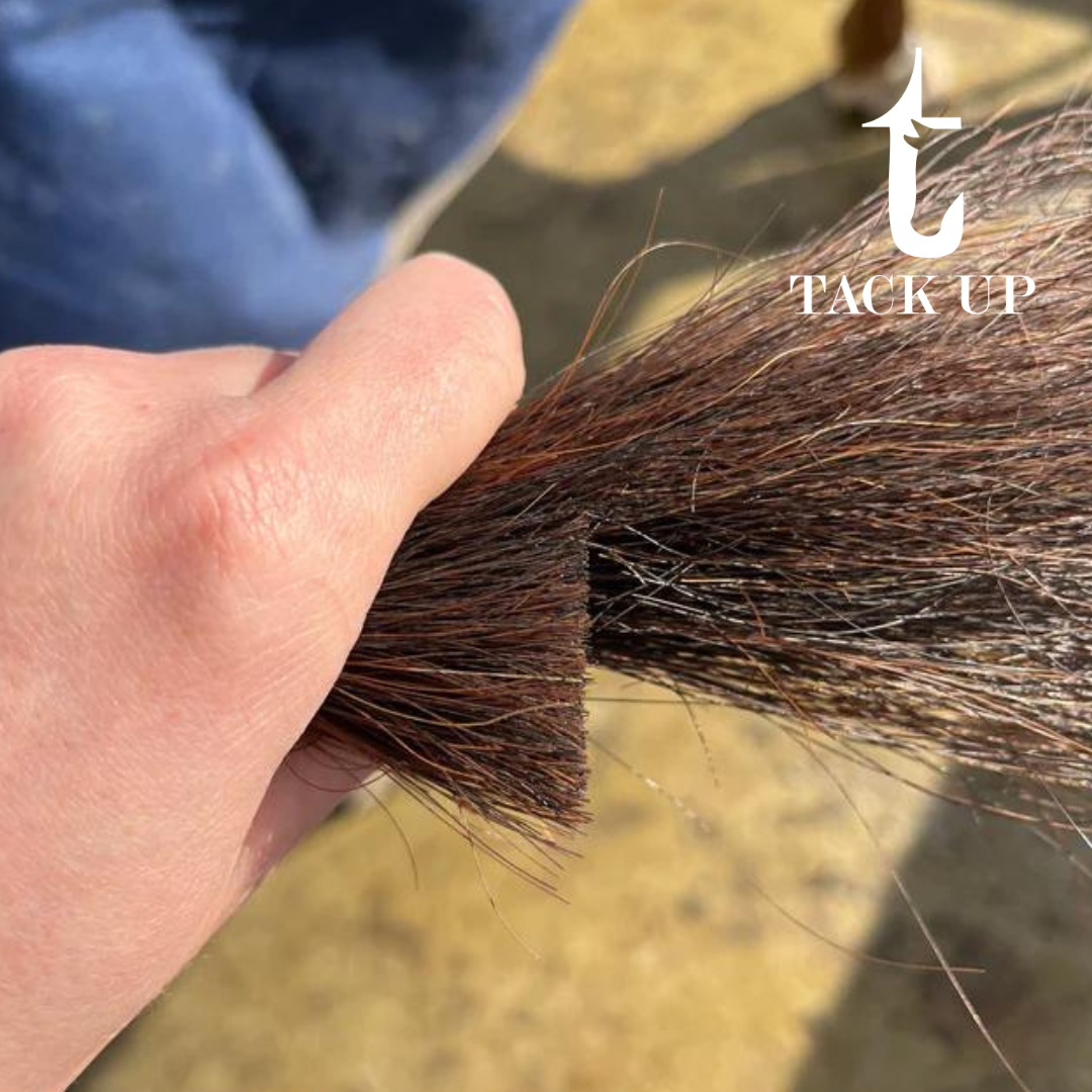 Hairy Pony Horse Tail Trimming Scissors