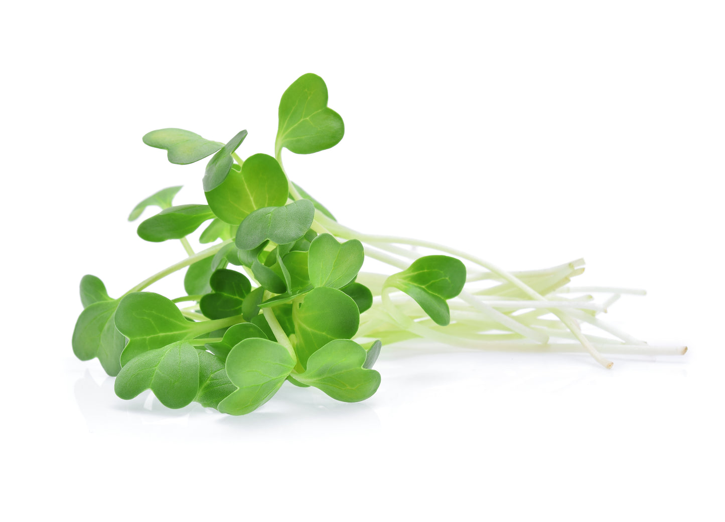 Simply Alfalfa Treats