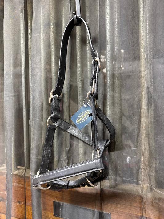 NEW Henri de Rivel Everyday Halter