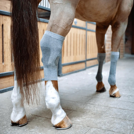 Incrediwear Circulation Socks