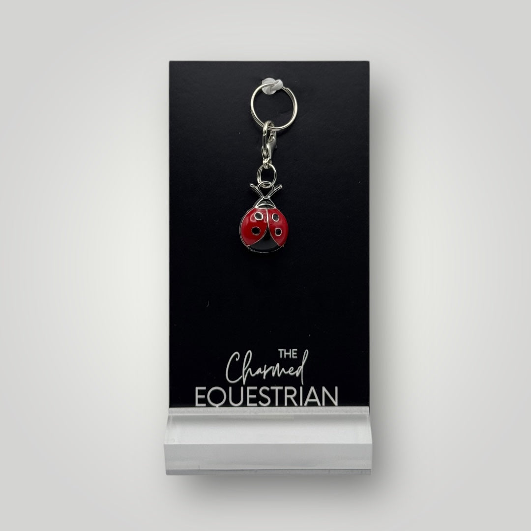 Lady Bug Charm
