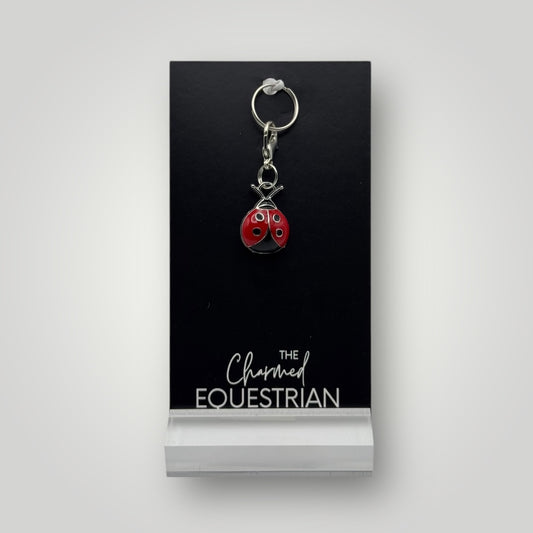 Lady Bug Charm